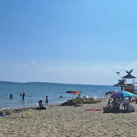 Garden Of Eden Complex C2-12 *